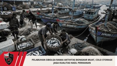 Pelabuhan Sibolga Ramai Aktivitas Bongkar Muat, Cold Storage Jaga Kualitas Hasil Perikanan