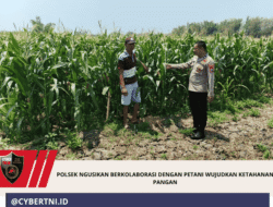 Polsek Ngusikan Berkolaborasi dengan Petani Wujudkan Ketahanan Pangan