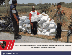 Kanit Binmas Laksanakan Pembinaan kepada Petani Jagung, Dukung Ketahanan Pangan Nasional