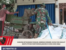 Dukung Ketahanan Pangan, Babinsa Koramil 04/Sultan Daulat Bantu Petani Rontokkan Jagung di Desa Suka Maju
